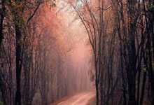 开云体育下载-波兰乒乓球队绝地反击韩国乒乓球队，奥恰洛夫绝境逆转