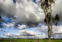 开云官方app入口-曼城险胜尤文，C罗逆转建功英超