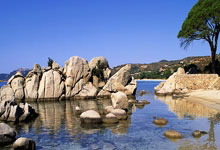 开云体育入口-韩国乒乓球队绝杀英国乒乓球队，张继科送出助攻