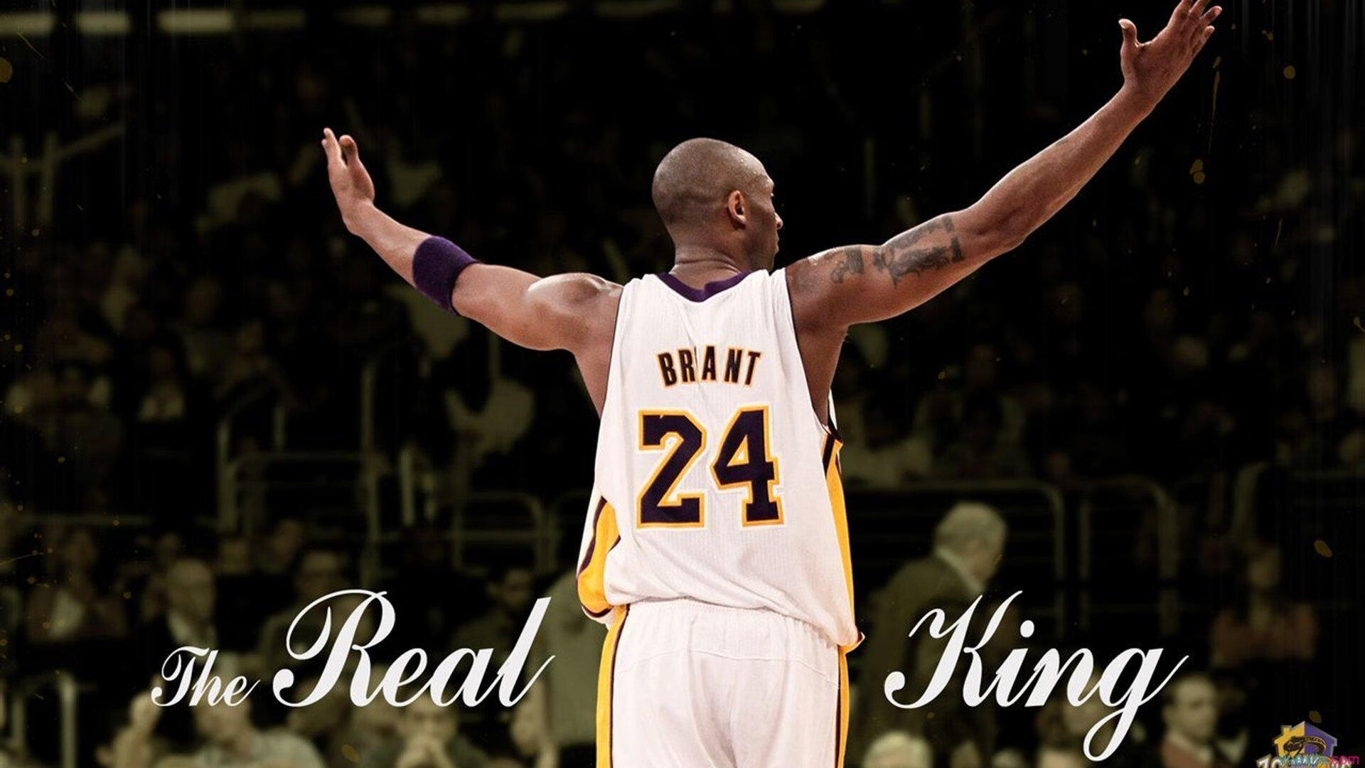 2026世界杯焦点战，当热火血拼公牛—绿茵场上的NBA式宿敌对决